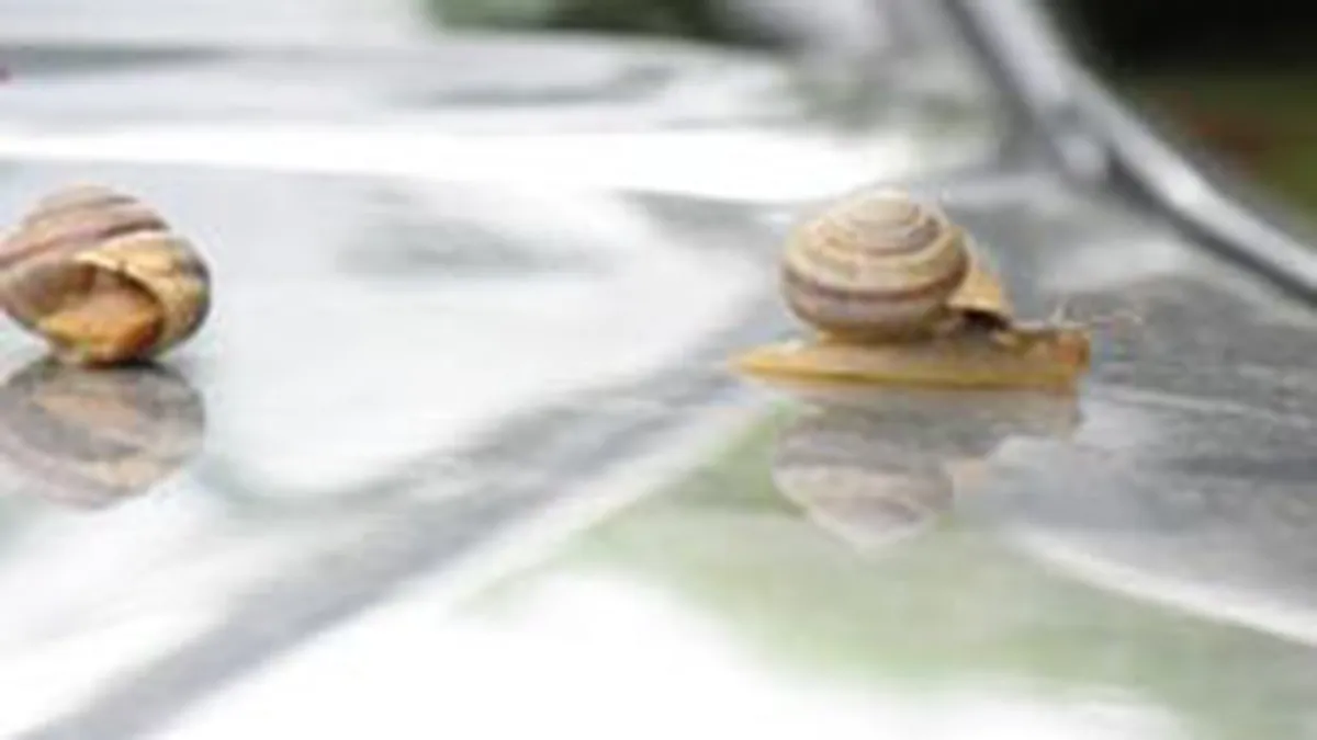 Bursa a stagnat vineri, pe un rulaj in scadere usoara