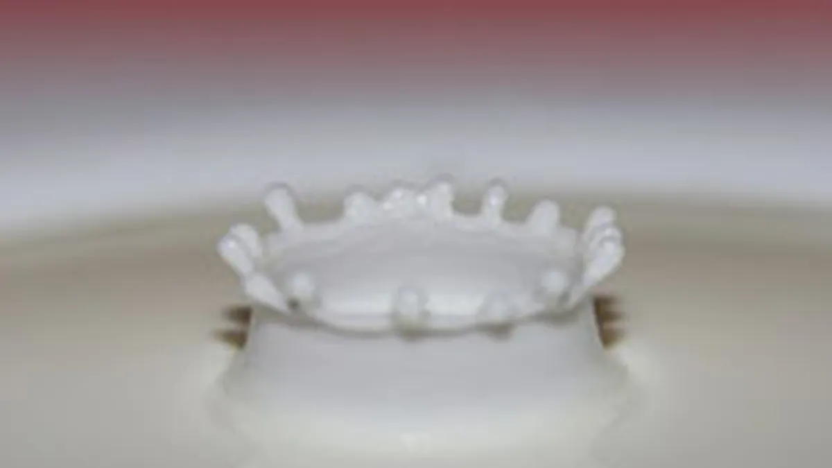 SIF Oltenia a vandut luni actiuni Lacta Giurgiu de 760.000 euro