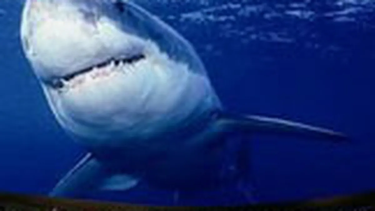 Cinematograful 3D din Liberty Center valoreaza 6 mil. euro