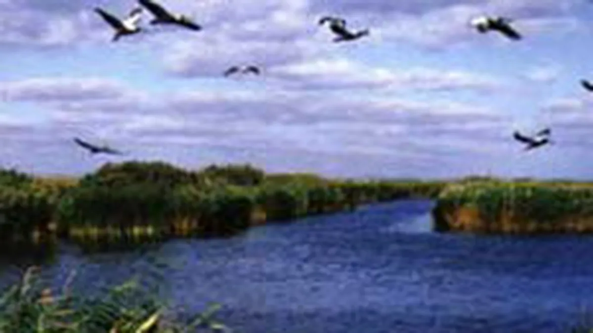 Numarul turistilor din Delta a crescut cu 250% in primele 9 luni din 2008