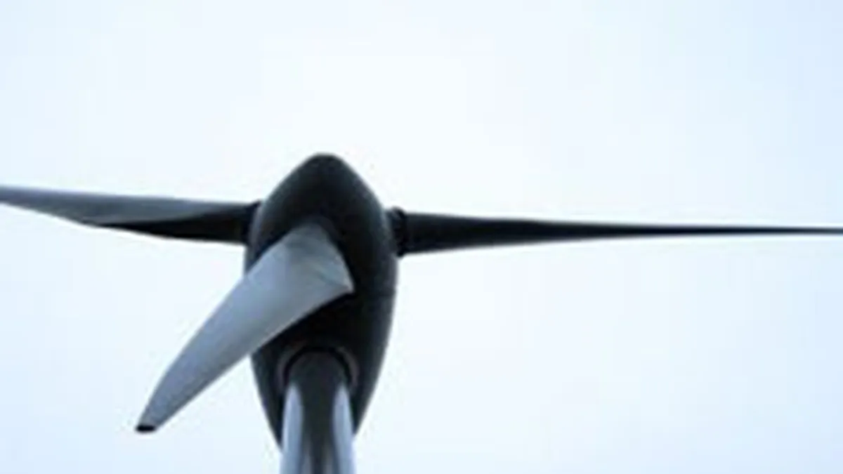 Farinsan vrea centrala eoliana de 1,5 milioane euro in zona Giurgiu