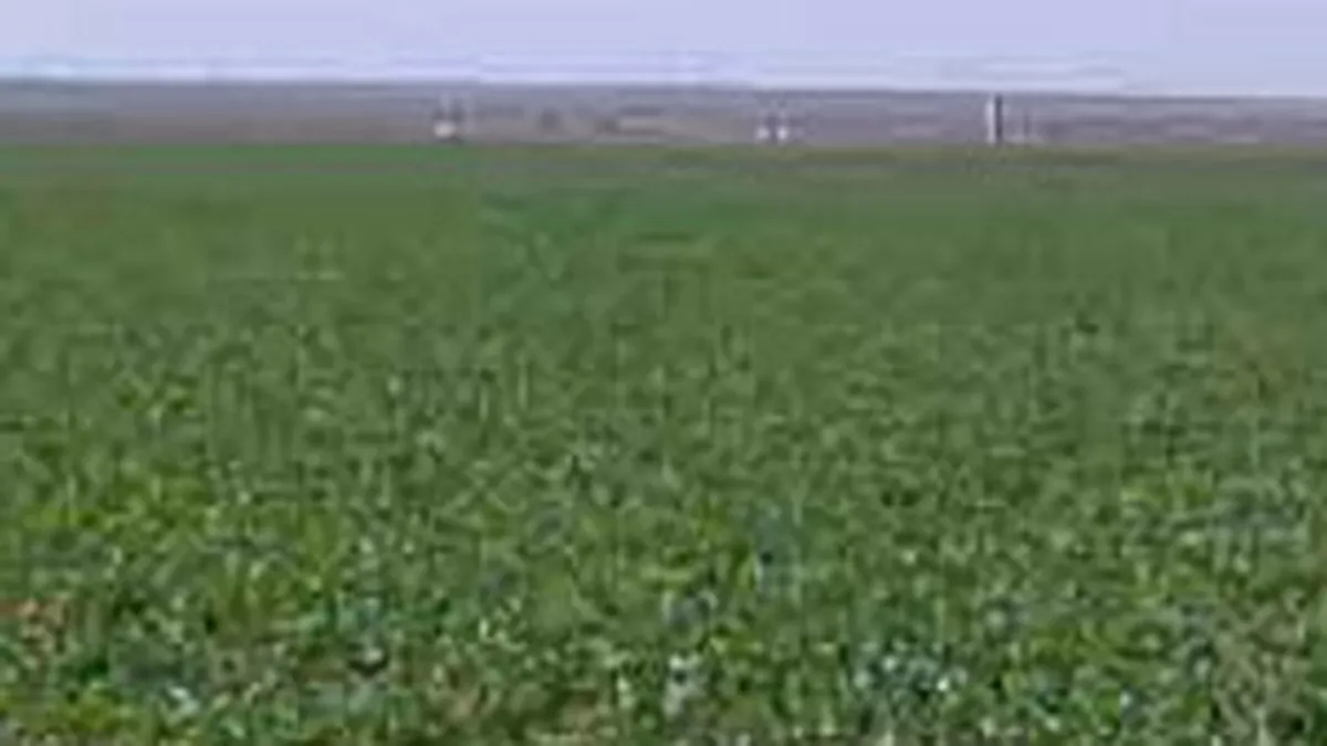 Terenurile din sudul Capitalei, din ce in ce mai atractive pentru investitori