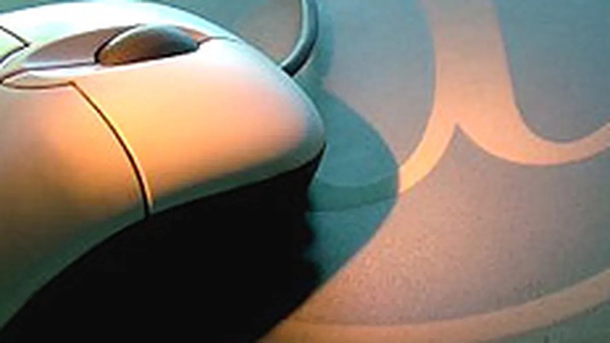 Campaniile online atipice cresc, inca incetinite de inflexibilitatea unor manageri