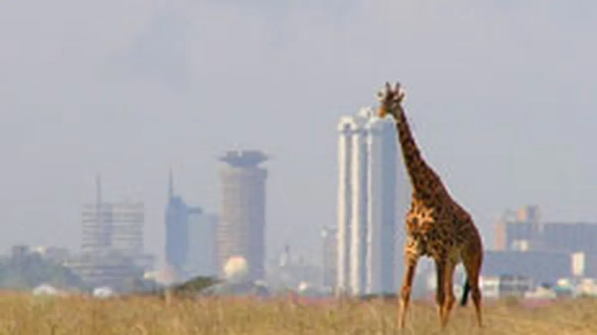 \Efectul Obama\: Numarul turistilor americani in Kenya va creste cu 10-15% in  2009