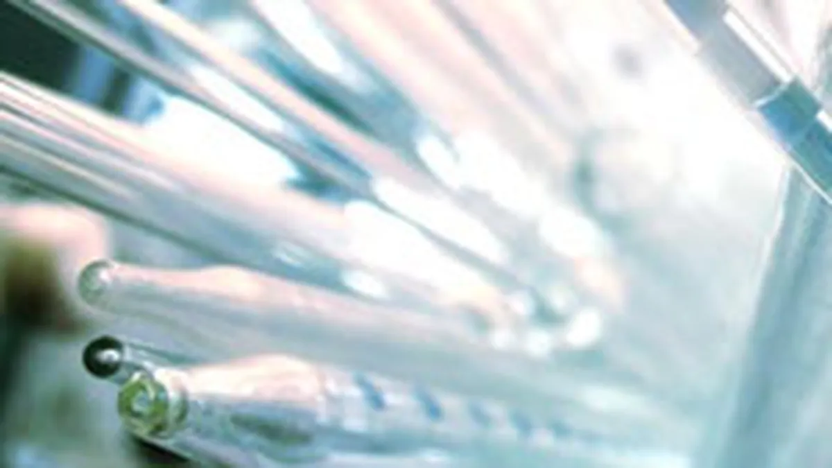 Rompetrol reduce cu 55% productia de polimeri si trimite in somaj 130 de angajati