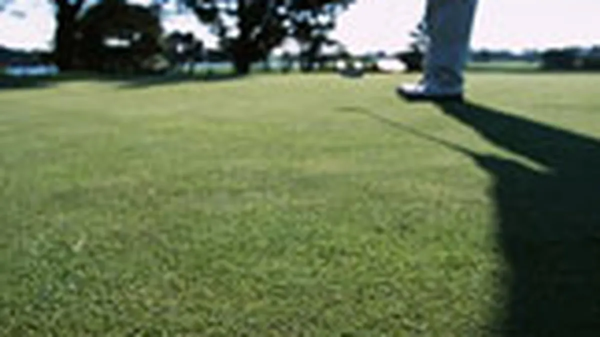 Vanzarile de echipament de golf in Romania: \Acum abia plantam semintele\