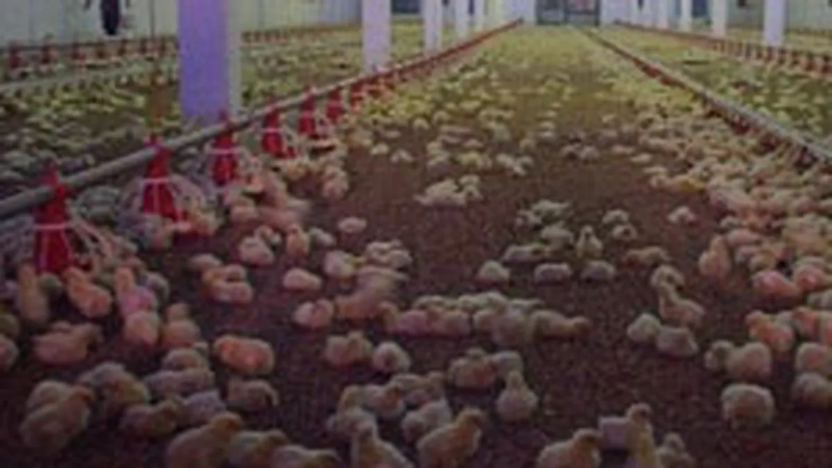 SIF Banat-Crisana vrea sa vanda 34% dintr-o firma din Baia Mare, cu peste 680.000 euro