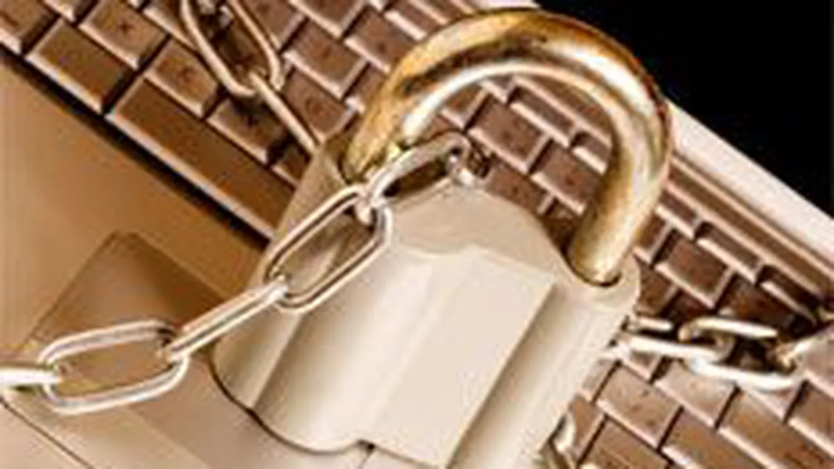 Jucatori din piata: Segmentul de securitate IT nu va fi afectat puternic de criza economica