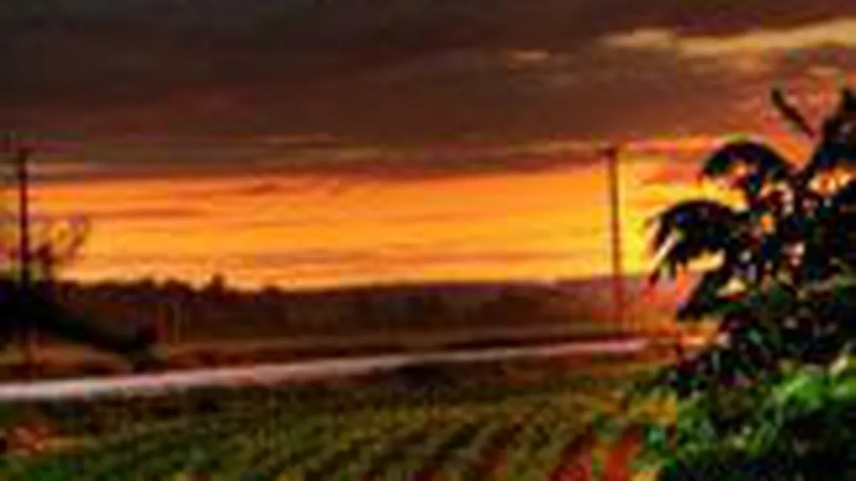 Ce-i tine departe de Romania pe investitorii in agricultura