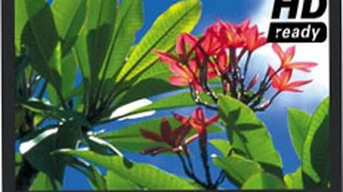 UE vrea sa interzica vanzarea de plasme. Panasonic: \Legea e nerealista\