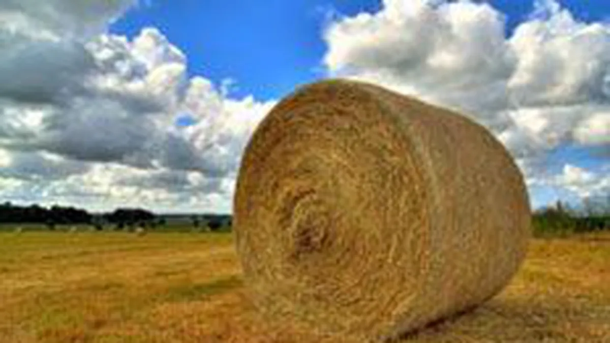 Proiect de 500.000 euro la Vaslui, de transformare a paielor in energie