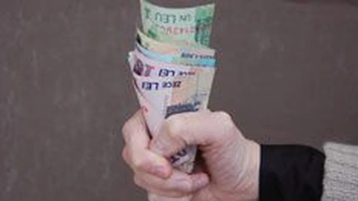 Pilonul II: Contributia medie pe participant a fost de 27,45 lei in 2008