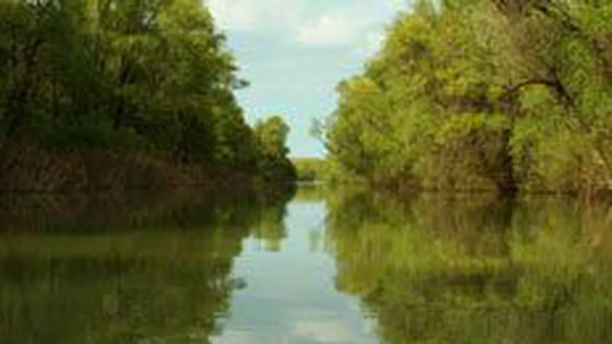Peste 142.000 de turisti au vizitat Delta Dunarii in 2008
