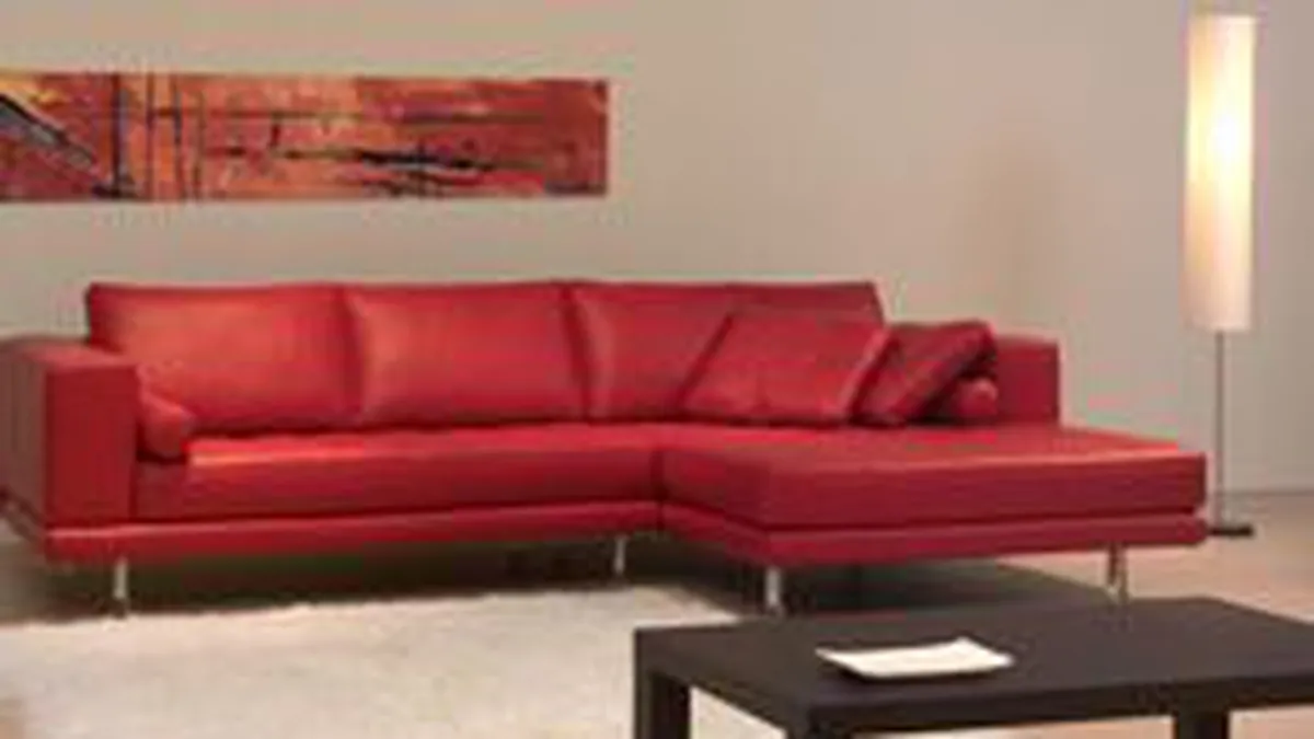 Camelia Sucu vizeaza o crestere de 10% pentru Class Mob, in 2009