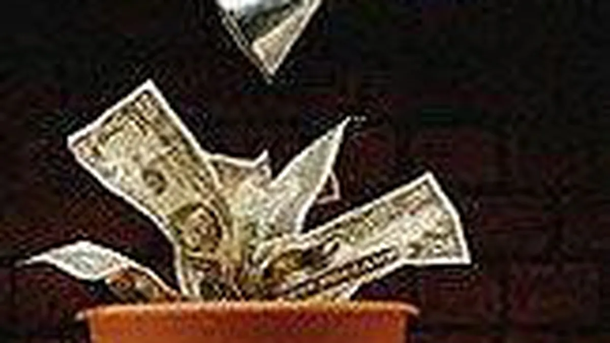 SeedMoney a crescut bugetul disponibil pentru investitii in online la 600.000 euro