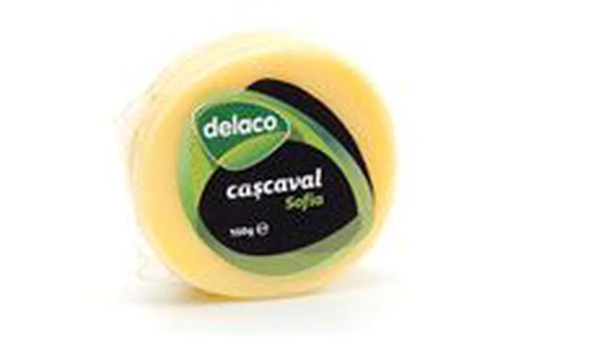 Delaco vizeaza afaceri de 60 mil. euro in 2009, in crestere cu 40%