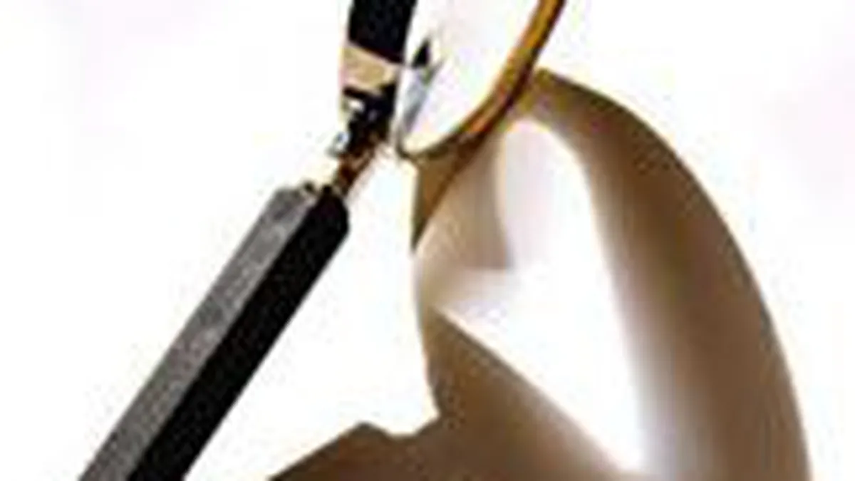 FBI va pune lupa pe contractele Complexului Energetic Rovinari