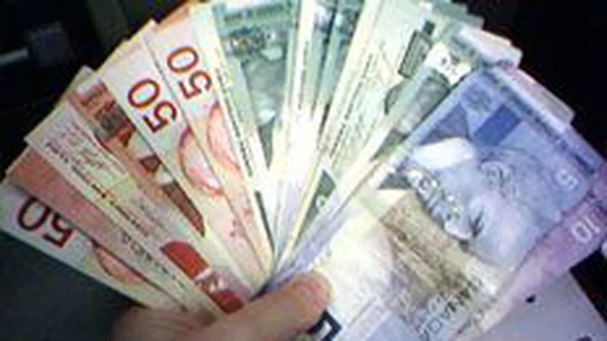 Investitiile straine directe au crescut cu 24,45% in 2008, la 9 mld. euro