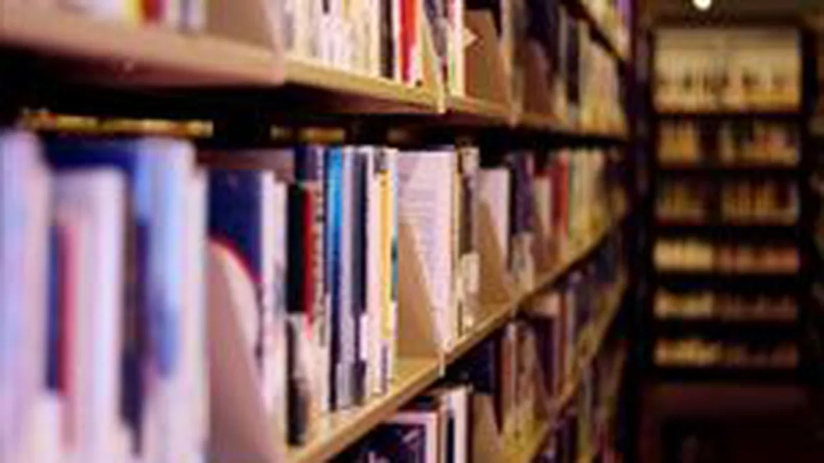 Afacerile din piata de carte, afectate de cursul valutar