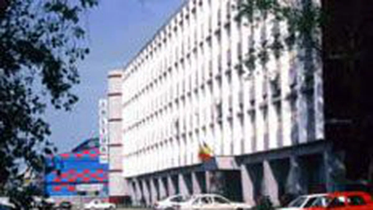 Altur Slatina si-a crescut de peste 2 ori profitul in 2008