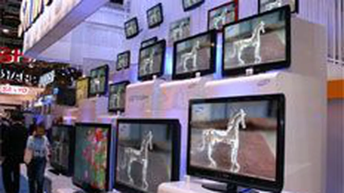 Flamingo: Piata de plasme si LCD-uri va stagna in 2009