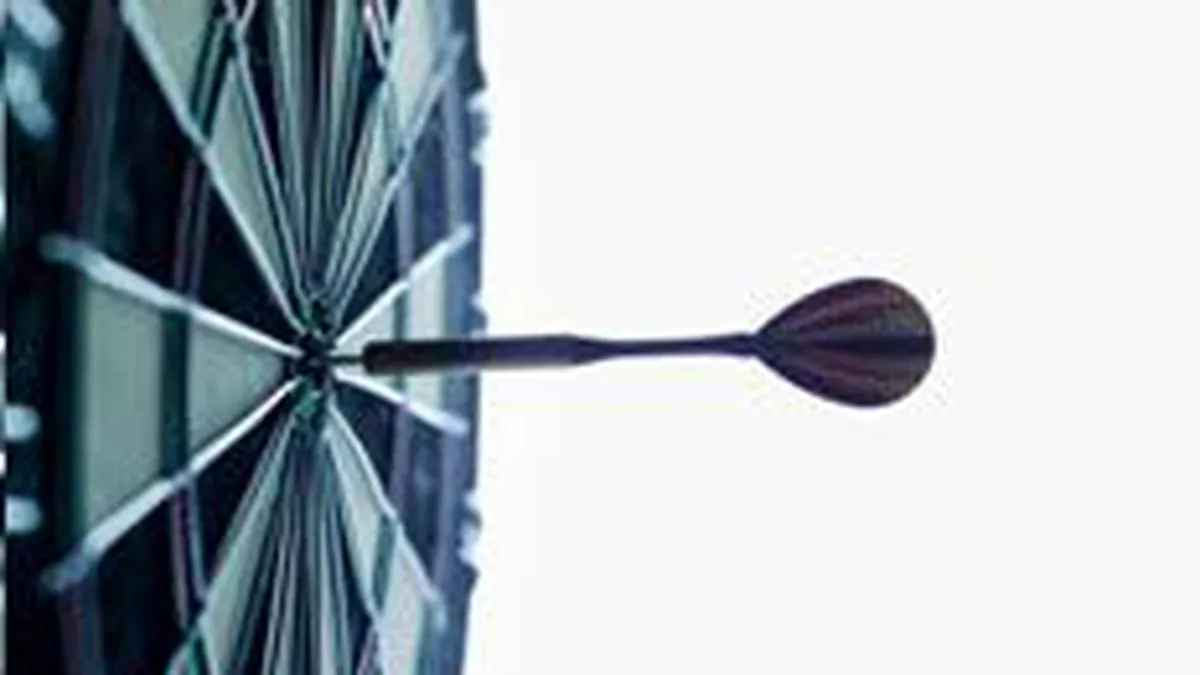 Venituri in crestere cu 215% in 2008 pentru Future Marketing