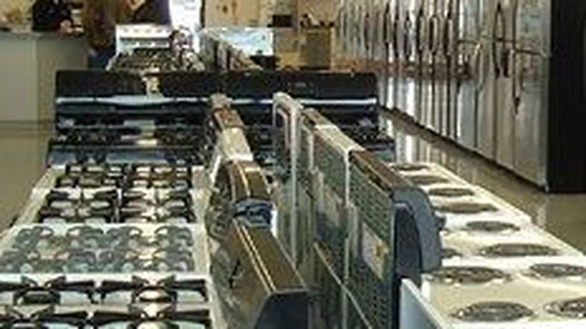 GfK: Piata bunurilor de folosinta indelungata a crescut cu 11,5% in 2008