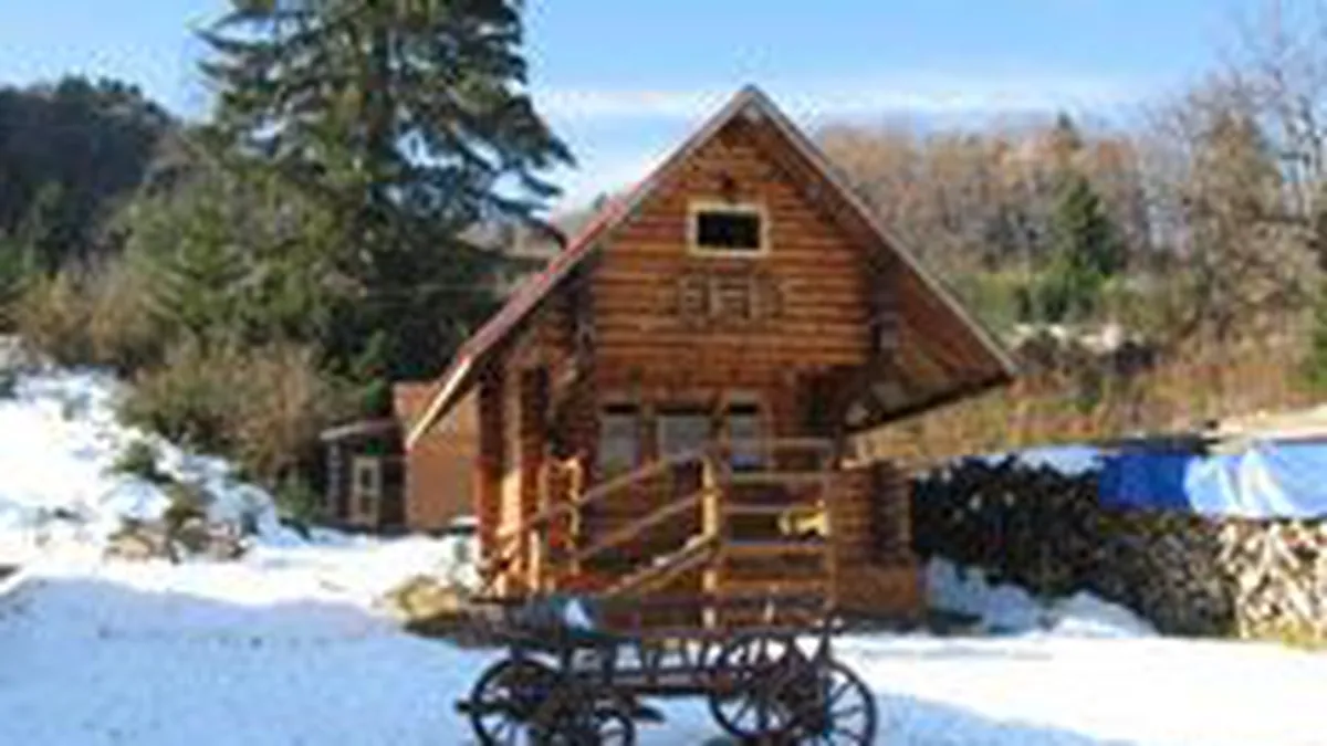 Tichetul de vacanta va avea o valoare maxima de 6 salarii minime brute