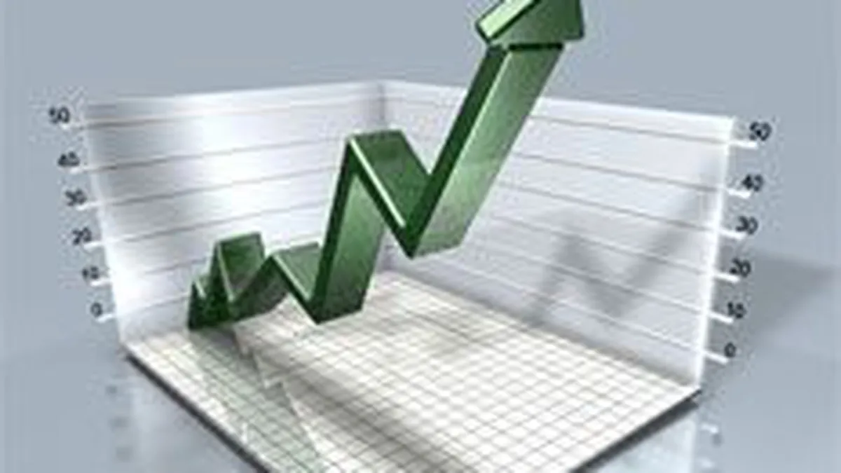 Ce afaceri au realizat principalii \publicitari\ din online in 2008