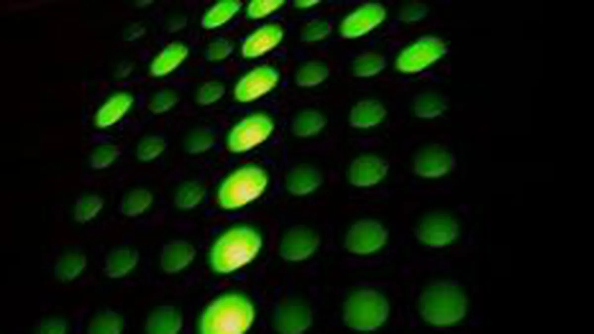 Cresterea economica peste asteptari a saltat Bursa cu peste 4% miercuri