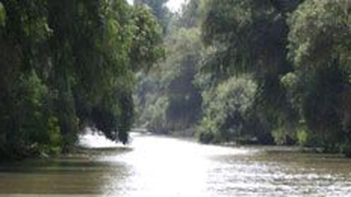 FT Deutschland: Delta Dunarii de inchiriat? Romania este neajutorata in fata crizei