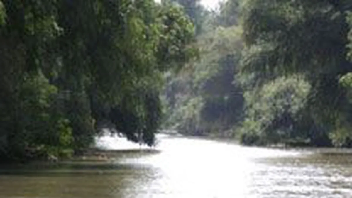 Afaceri de 2 mil. euro pe an, criteriu la licitatia pentru brandul de tara