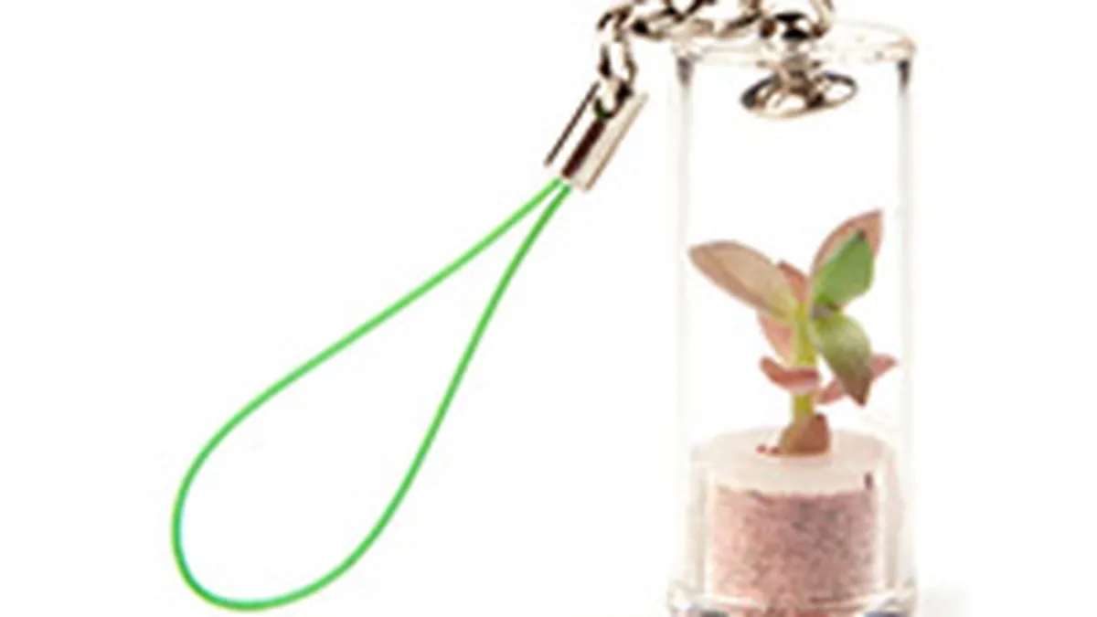 Botanique a lansat un magazin online pentru plantele de purtat la gat