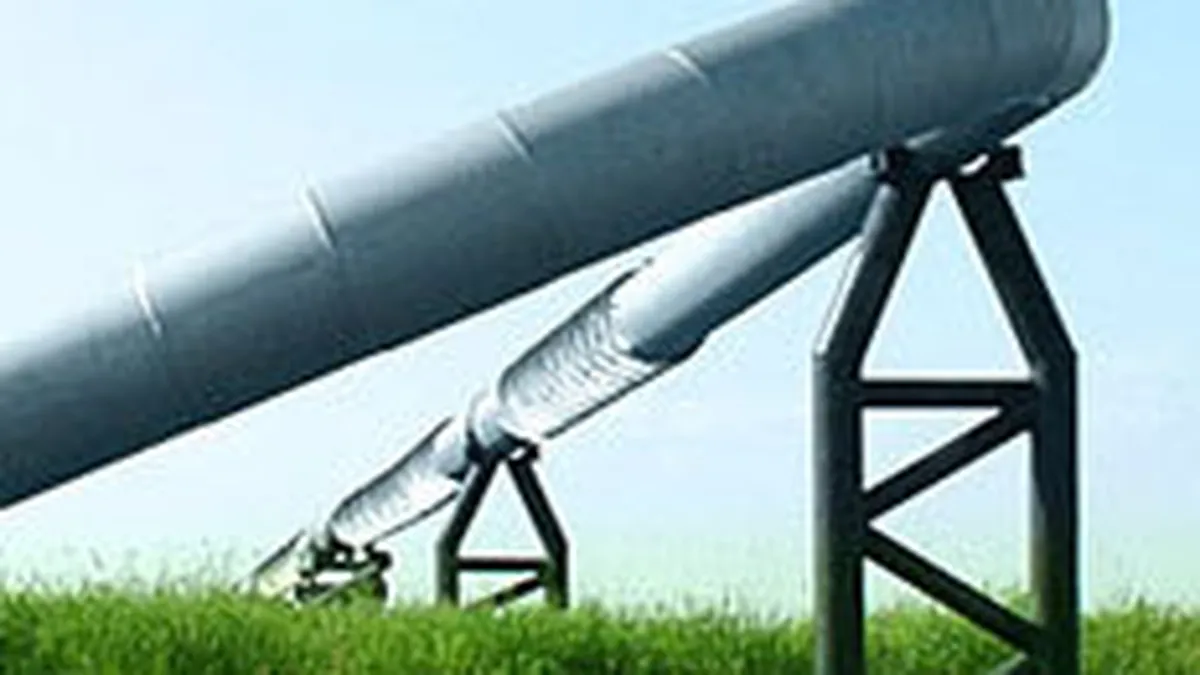 Calburean propune majorarea capitalului social la Condmag cu 5,76 mil.lei