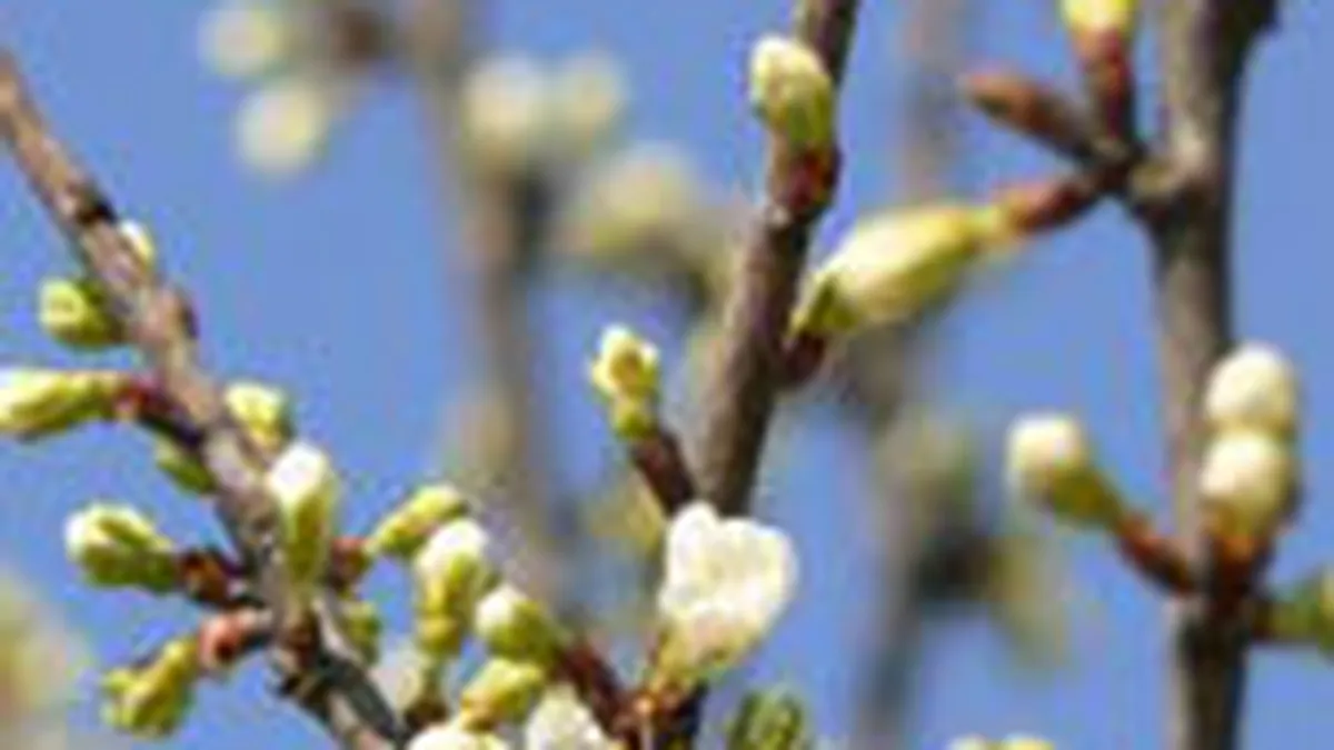 Semne bune aprilie are - pacaleala sau posibila revenire a Bursei