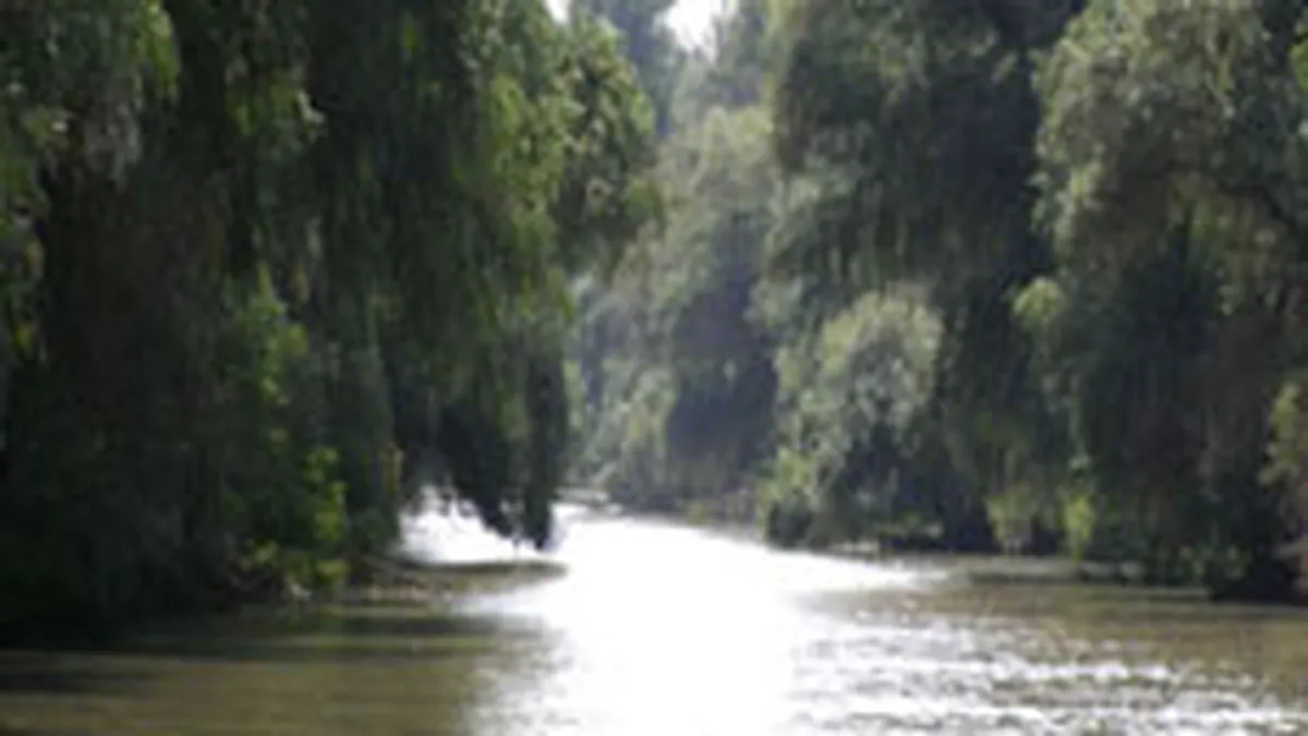 Basescu: Delta Dunarii va fi promovata turistic abia din acest an