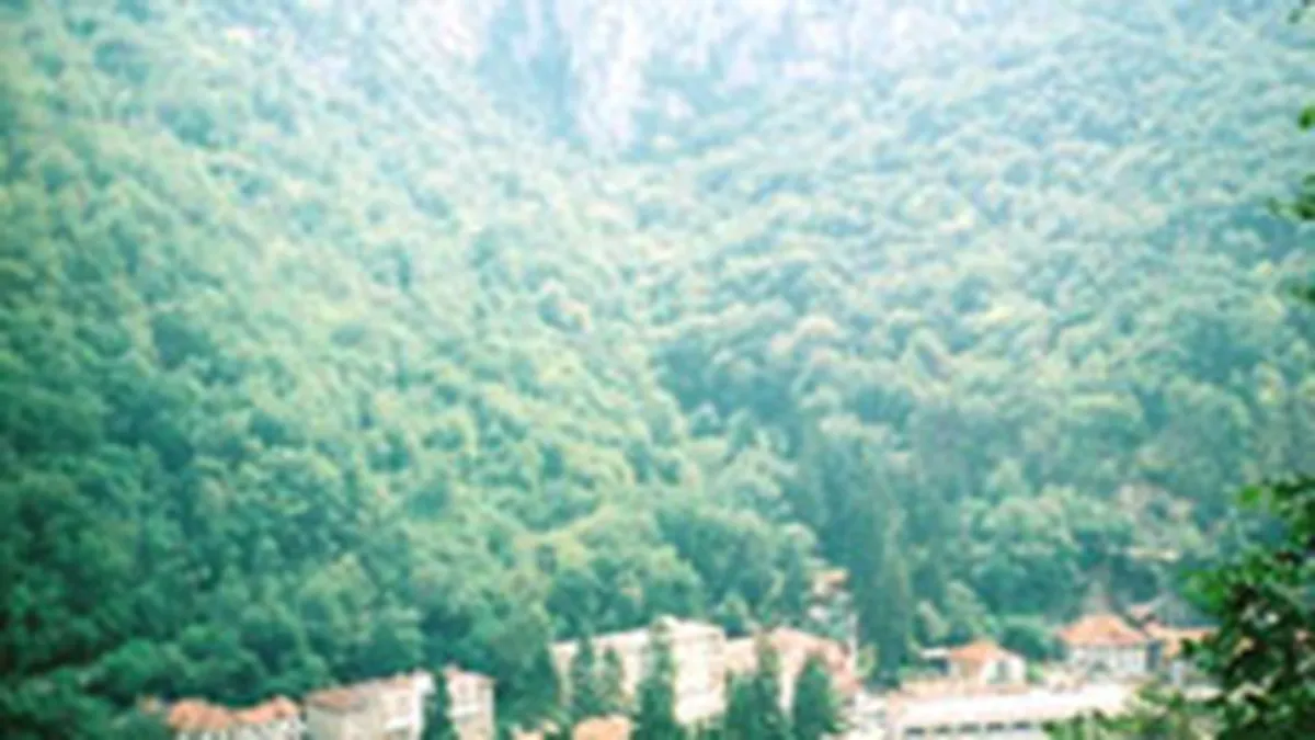 Udrea vrea sa atraga investitori arabi pentru turismul din Romania