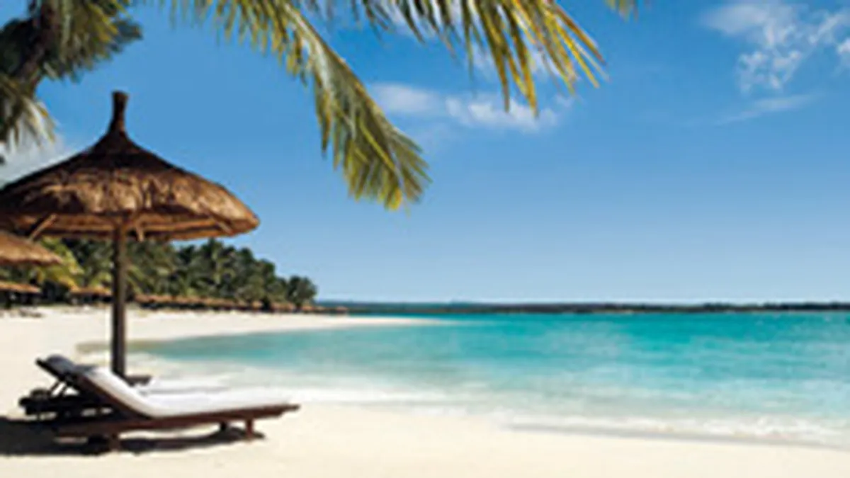 Criza si gripa porcina tin pe loc piata vacantelor exotice