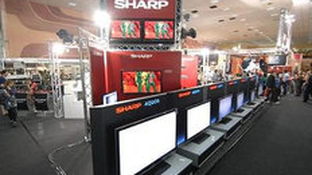 Editia CERF 2009 va fi dedicata exclusiv componentei Business-to-Business