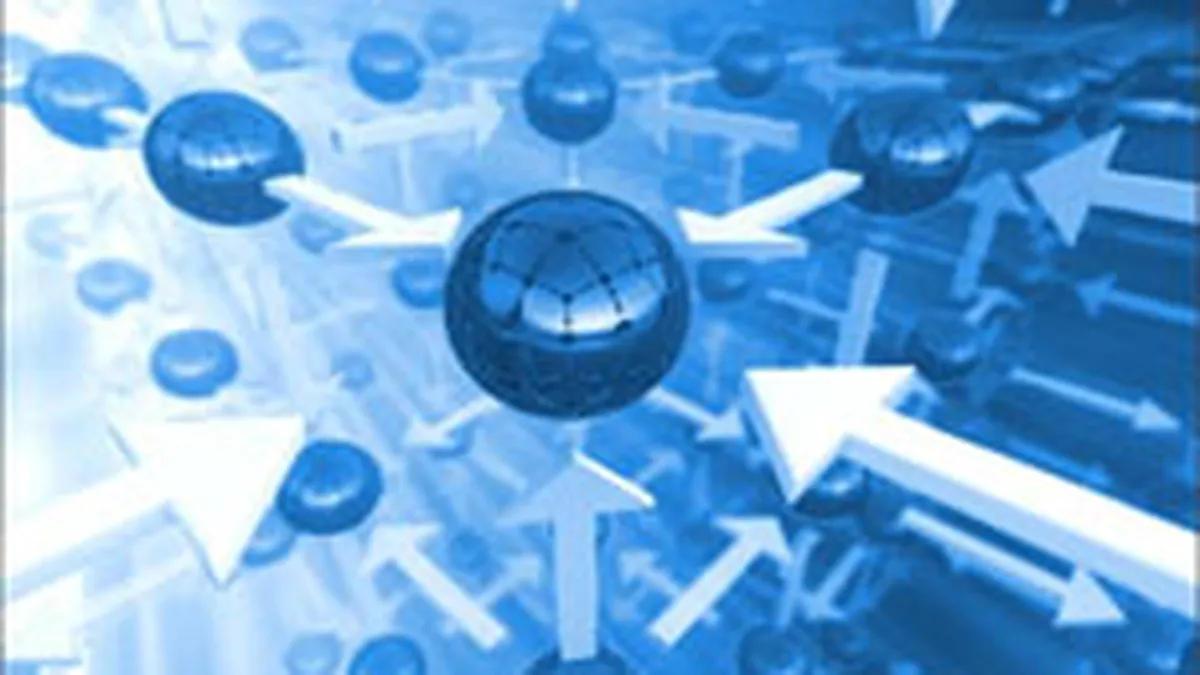 Power Net Consulting, afaceri de 27 mil. euro in 2008, sustinute de proiecte publice