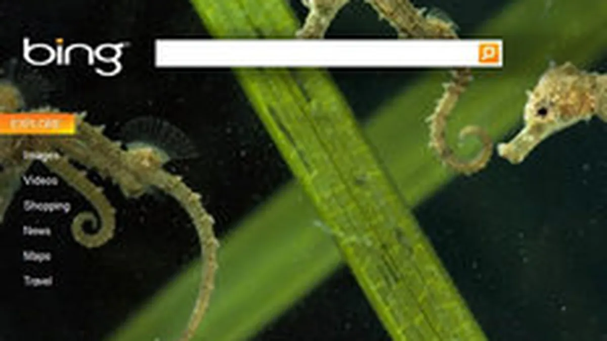 Bing ridica numarul de click-uri pe reclamele Microsoft cu 8% intr-o saptamana