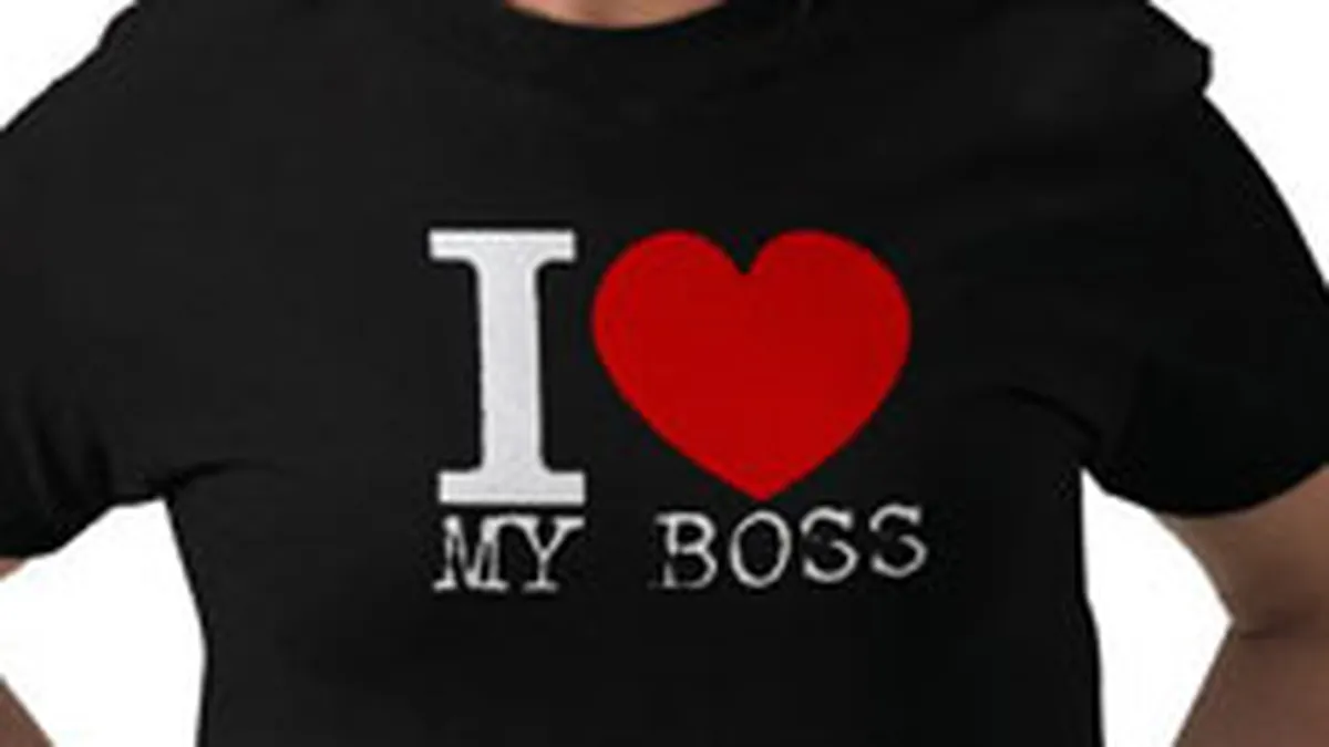 Studiu: 67% dintre americani se inteleg \foarte bine\ cu seful lor