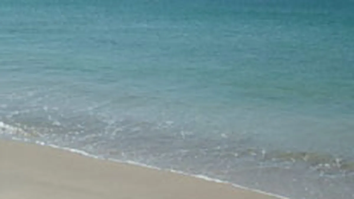 Ultimele zile din iunie au atras  peste 56.000 de turisti pe litoral