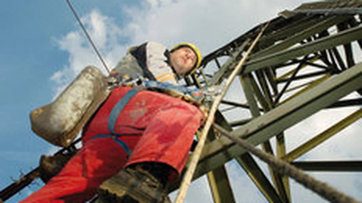 Elvetienii de la Alpiq au preluat furnizorul roman de electricitate EHOL