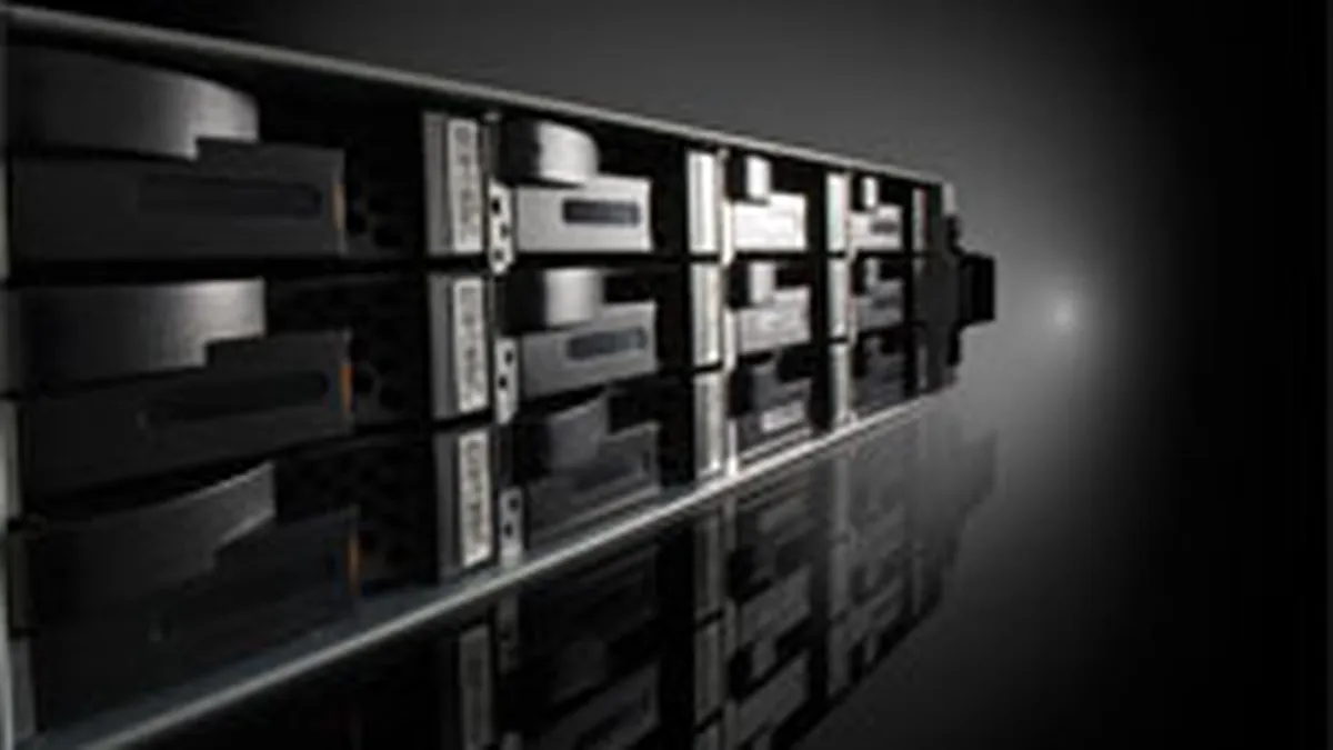 EMC ridica oferta de preluare a rivalului Data Domain cu 10%, pana la 1,98 mld. $