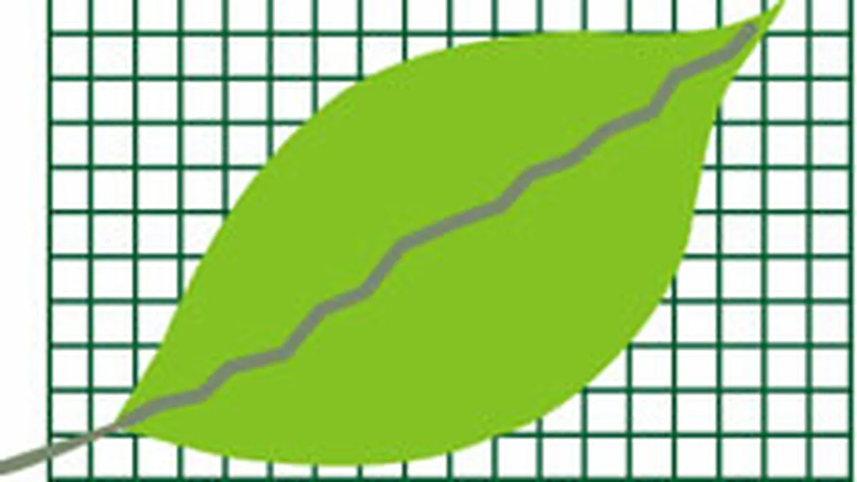 Bursa de la Bucuresti a inchis joi pe verde, SIF-urile au castigat 1,8%