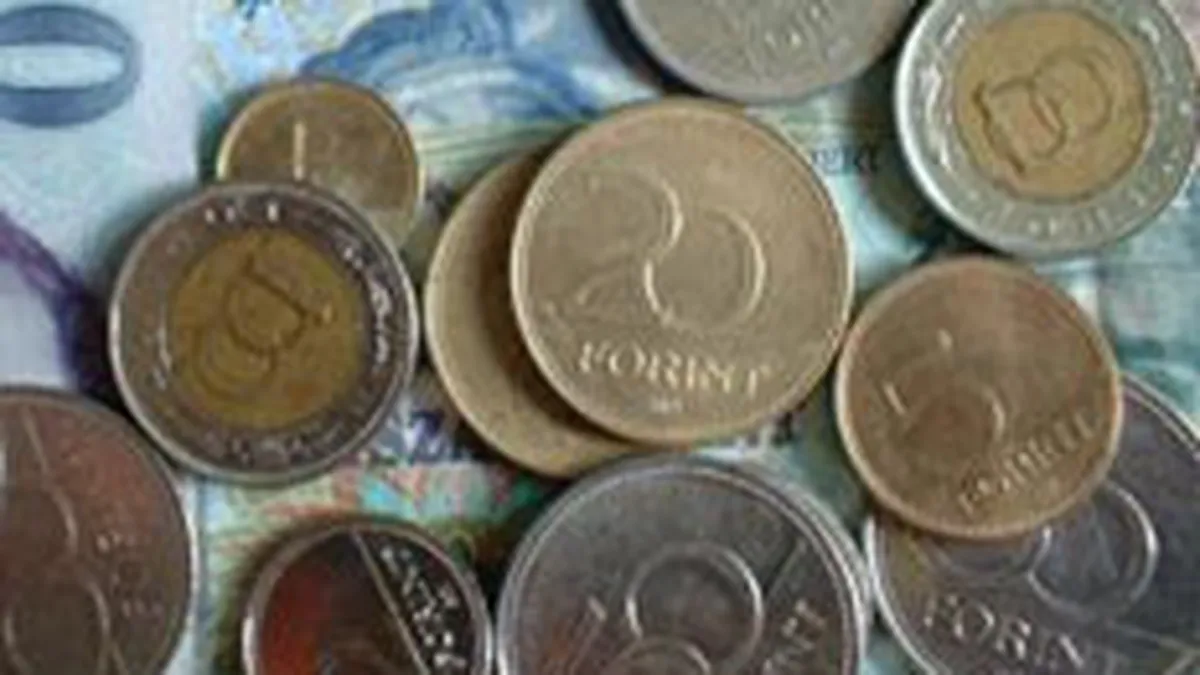 Banca Ungariei a redus dobanda cheie cu 1 punct procentual, la 8,5%