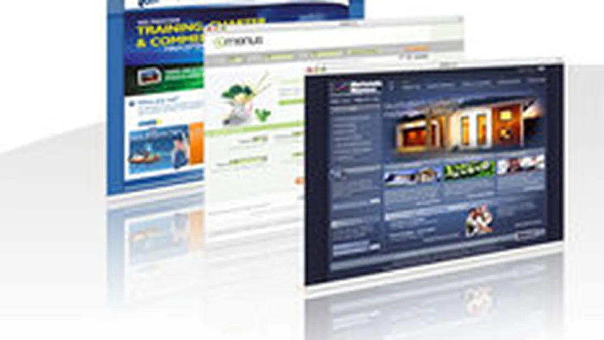 Si la case mai mari: 40% dintre IMM-urile din SUA nu au site-uri web