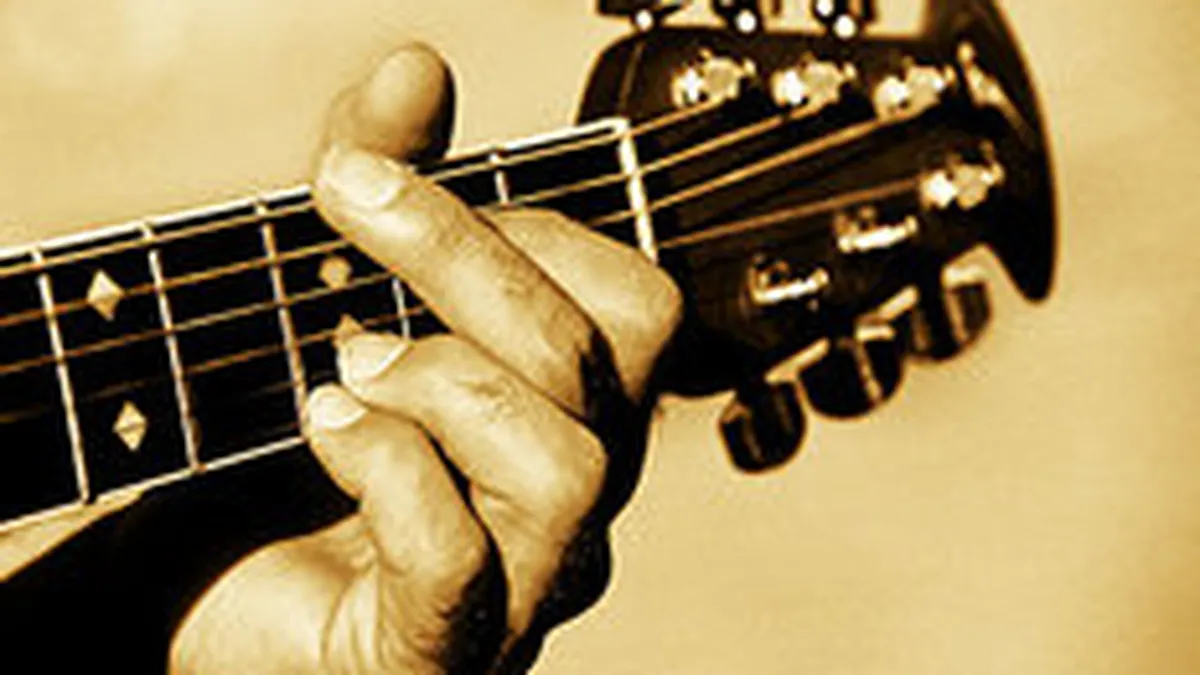 Chitarele nu mai canta la fel in 2009: Criza a stopat avantul de pe piata instrumentelor muzicale