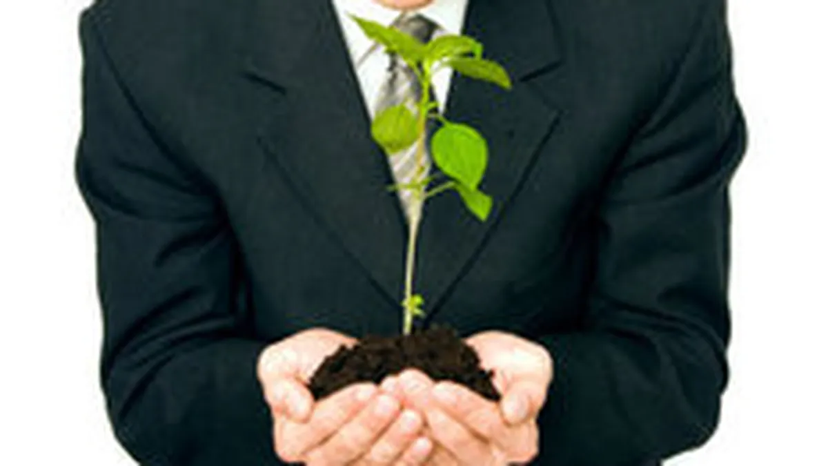 Intact Interactive intra pe doua nise noi: dezvoltare de site-uri si consultanta online